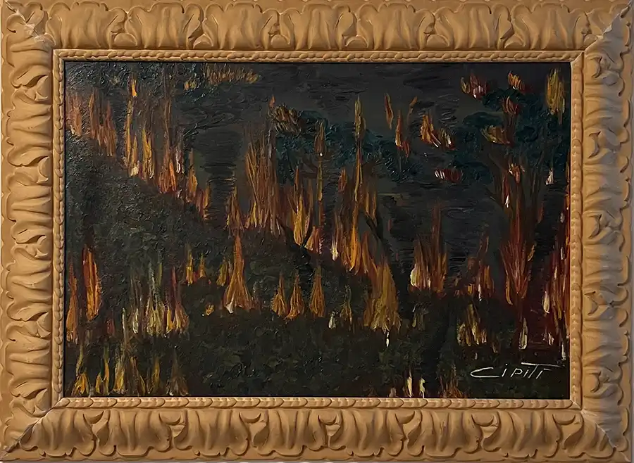 Foto Incendio sui colli